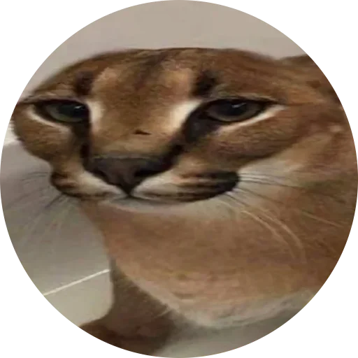 Стикер Fake Circle