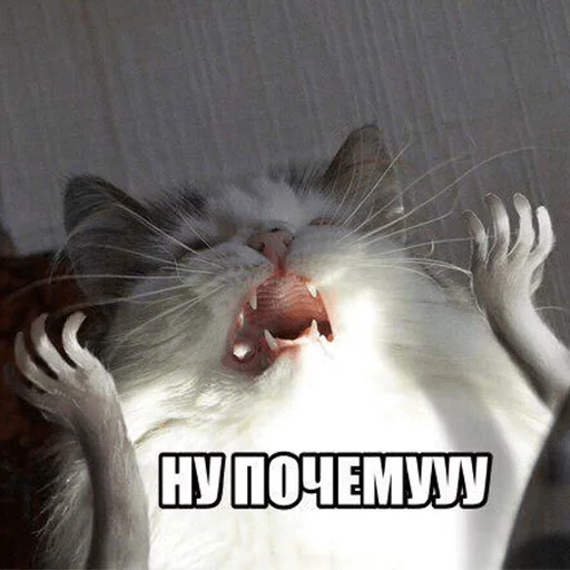 Стикер Fave Stickers