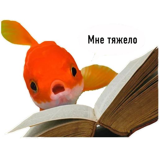 Стикер fish