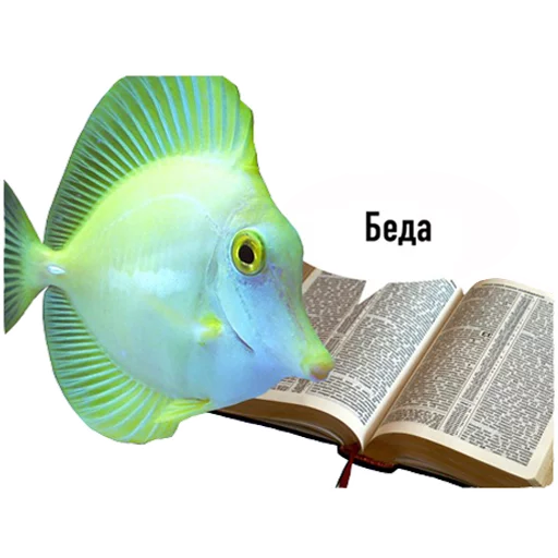 Стикер fish