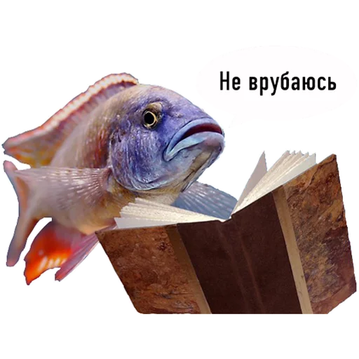 Стикер fish