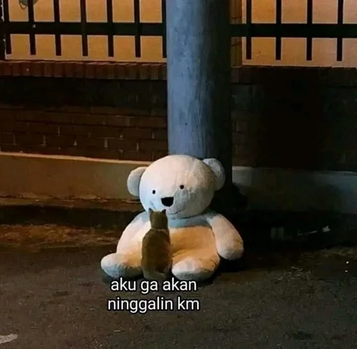 Стикер котики