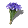 Эмодзи Flowers
