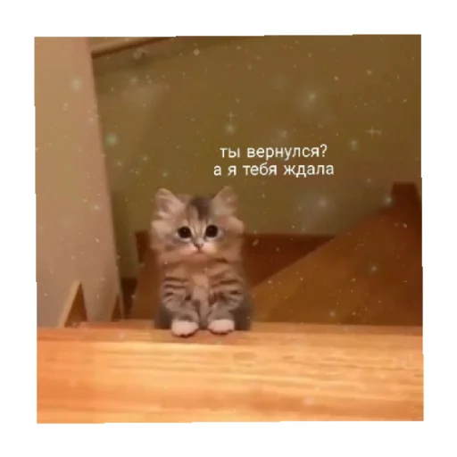 Стикер For every occasion 5