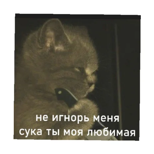 Стикер For every occasion 5