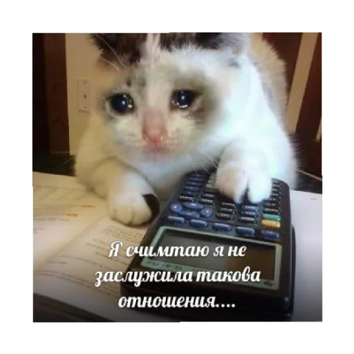 Стикер For every occasion 5