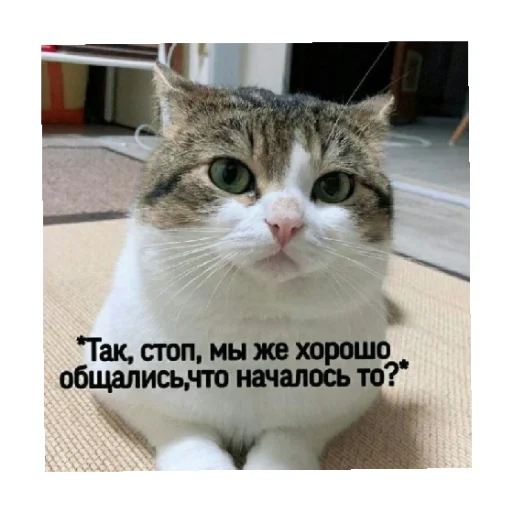 Стикер For every occasion 5