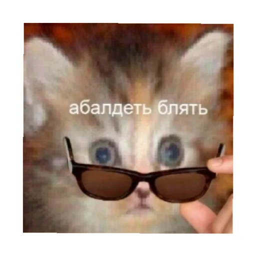 Стикер For every occasion