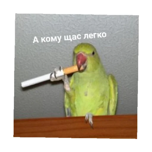 Стикер For every occasion