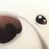 🐶