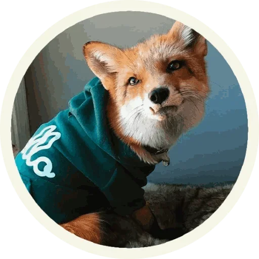 Стикер Foxx for Telegram