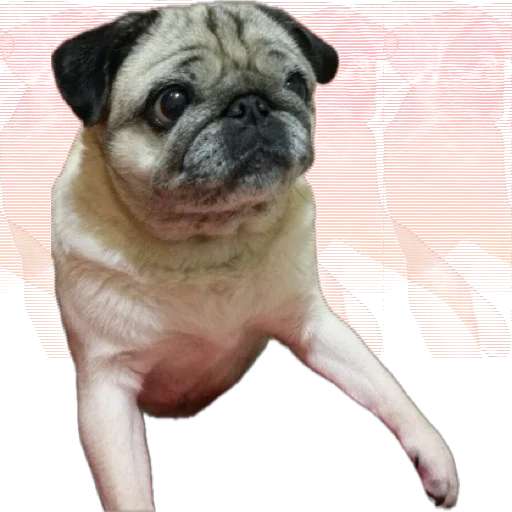 Стикер Фрося