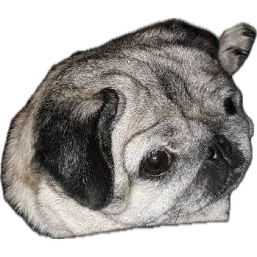 Стикер Фрося