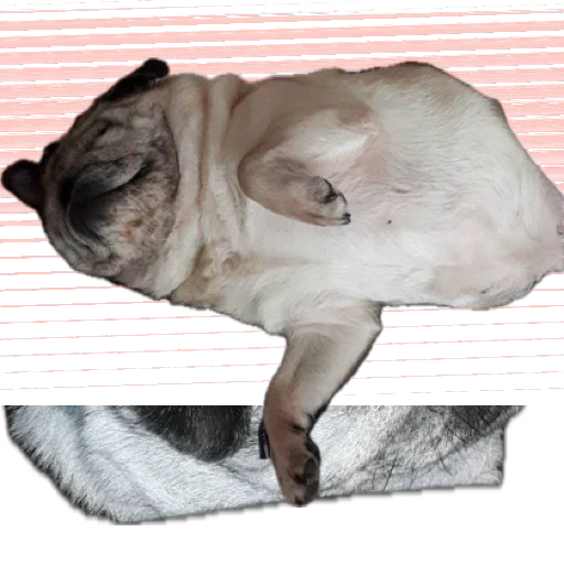 Стикер Фрося