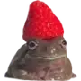🐸