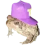 Эмодзи Frogs
