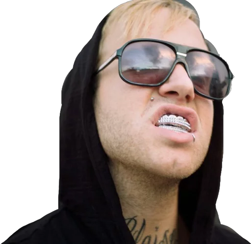 Стикер Fronzilla