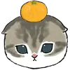 🍊