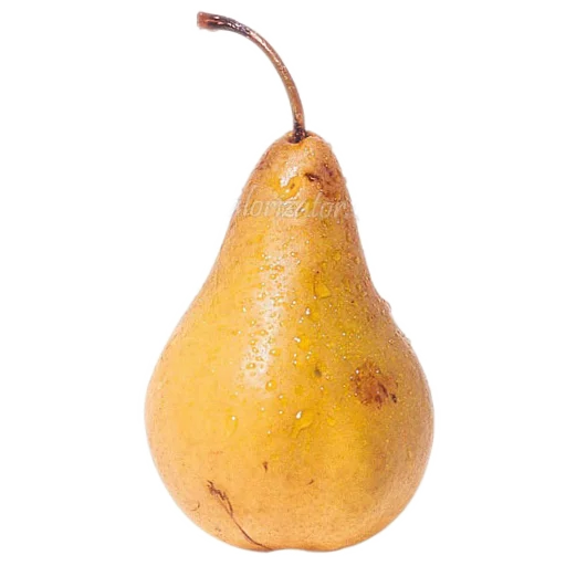 Стикер Фрукты