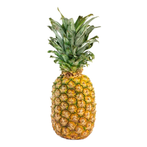 Стикер Фрукты