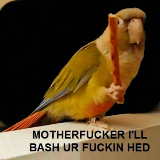 Стикер Parrots