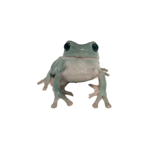 Стикер goblincore