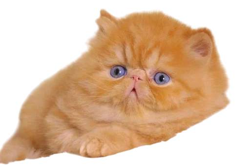 Стикер Cats