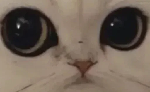 Стикер Glazaggg