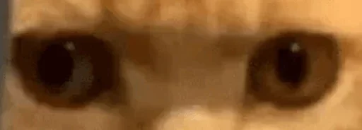 Стикер Glazaggg