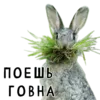 Стикер Гнилые кролики