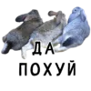 Стикер Гнилые кролики