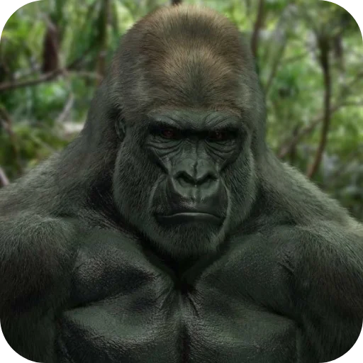 Стикер Gorilla