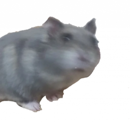 Стикер Гошик