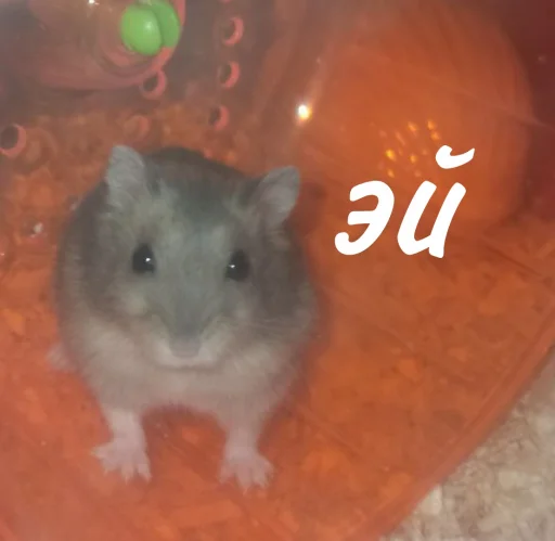 Стикер Гошик