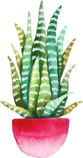 Стикер Green Cactus