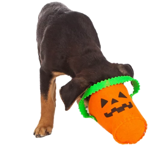 Стикер Halloween