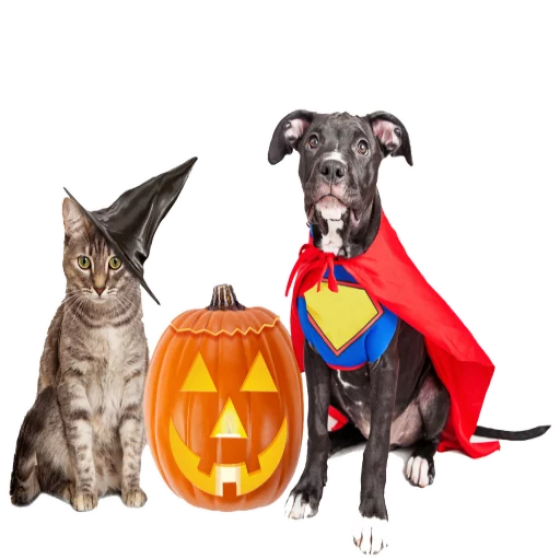 Стикер Halloween