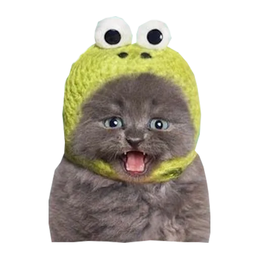 Стикер Cats in hats