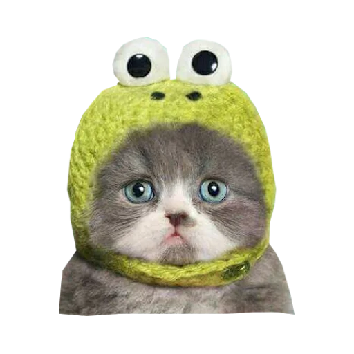 Стикер Cats in hats