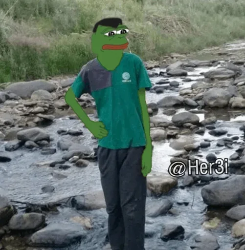 Стикер Pepe 🐸 -