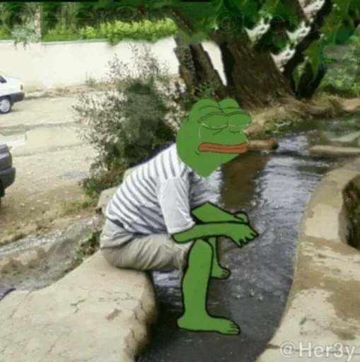 Стикер Pepe 🐸 -