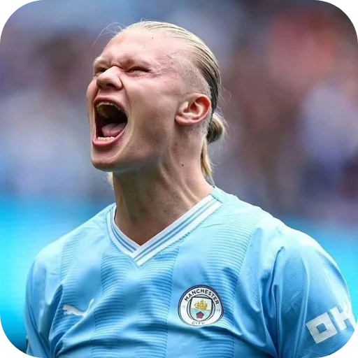 Стикер Erling Haaland