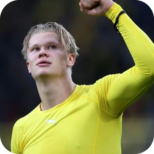 Стикер Erling Haaland