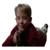 Эмодзи Home Alone | Один дома
