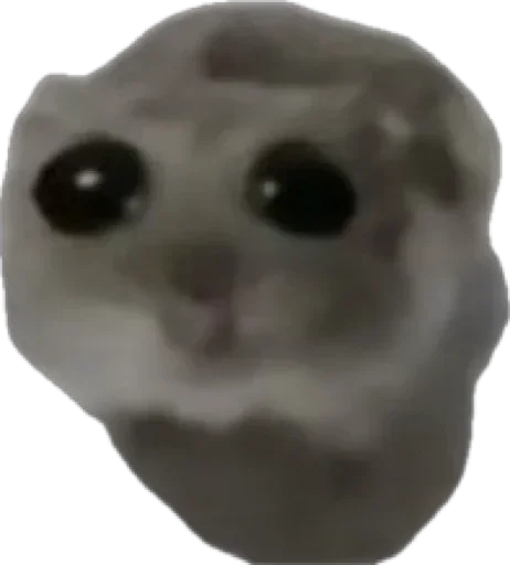 Стикер Грустный хомяк