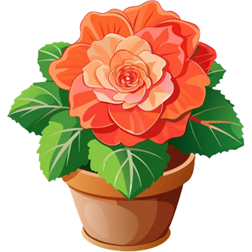 Стикер House Plants