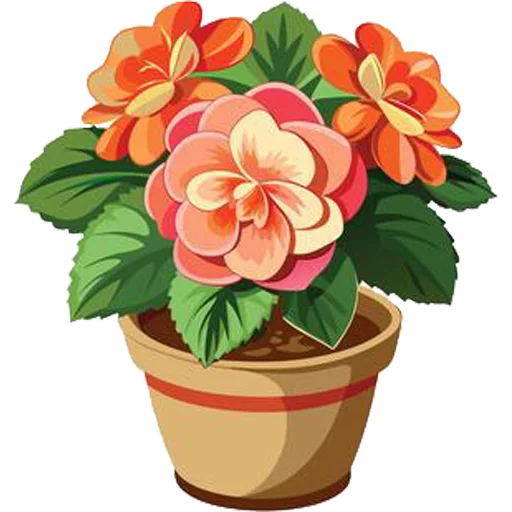 Стикер House Plants