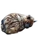Стикер yeener