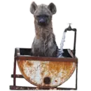 Стикер yeener