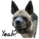 Стикер yeener